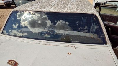 1982-1988 Olds Ciera Back Glass Rear Window Oem 10066827