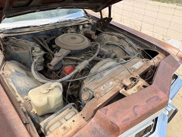 1974 Chevy Full Size — vehicle photo 2