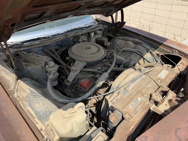 1974 Chevy Full Size — vehicle photo 9