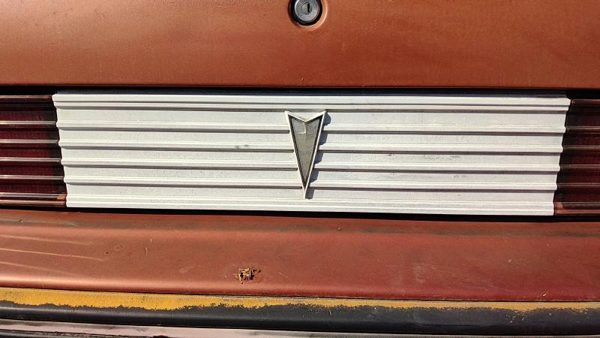 1985-1987 Pontiac Sunbird Center Tail Panel Rear Trim Oem 20619728 — photo 1