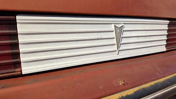 1985-1987 Pontiac Sunbird Center Tail Panel Rear Trim Oem 20619728 — photo 3