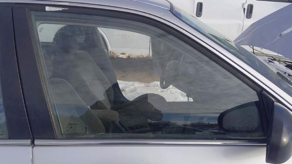1996-2000 Honda Civic Passenger Right Front Side Window Door Glass Oem 4797411 — photo 2
