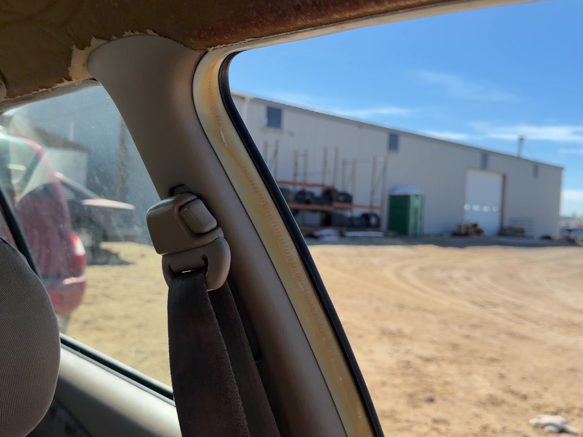 1998-2002 Toyota Corolla Driver Left B-Pillar Trim Panel Oem Pebble Beige