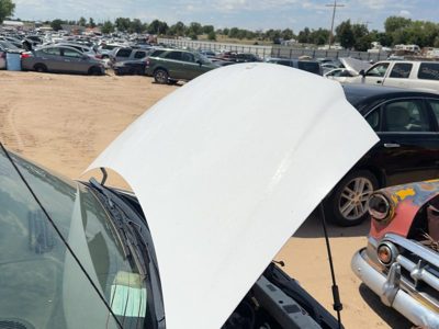 1999 Chrysler Voyager Hood Taupe Frost Ptk