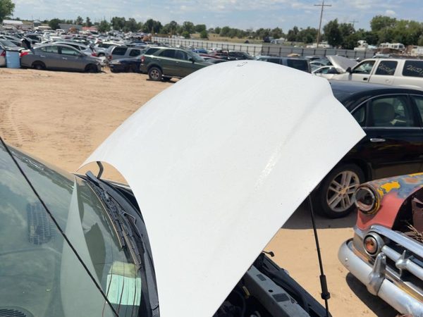 1999 Chrysler Voyager Hood Taupe Frost Ptk — photo 1
