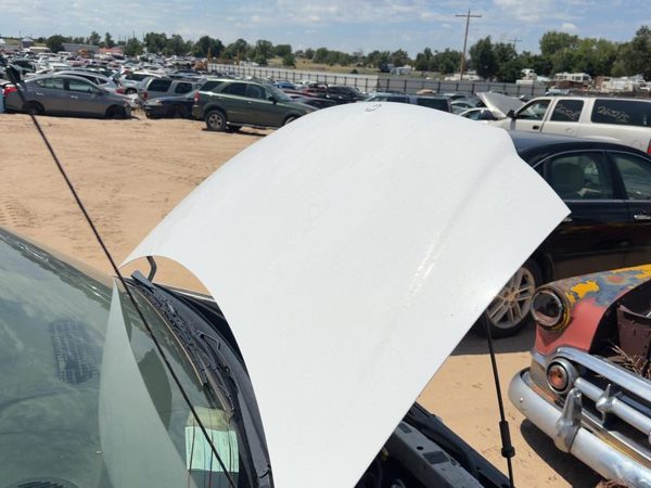 1999 Chrysler Voyager Hood Taupe Frost Ptk — photo 3