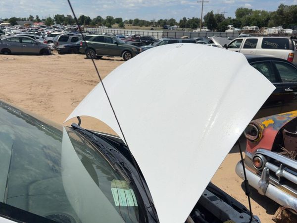 1999 Chrysler Voyager Hood Taupe Frost Ptk — photo 2