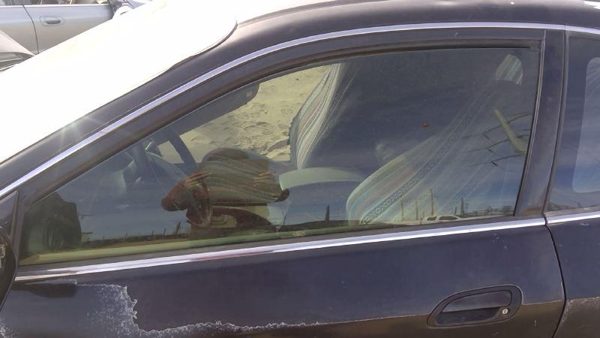 2001 Honda Accord Front Door Glass/window LH Driver Left Side Window Glass OEM — photo 5