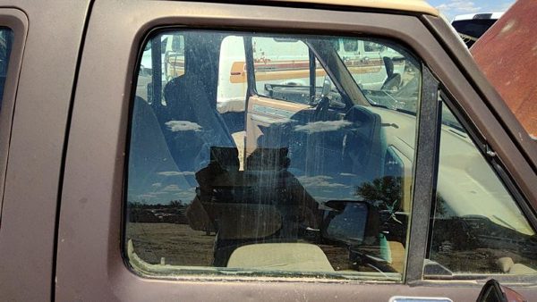 1987-96 Ford F150 Passenger Right Front Side Window Door Glass Oem F4tz1521410a — photo 3