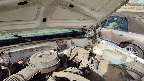 1988-1998 Chevy Silverado 1500 Pair Of Hood Hinges Right Left Set Assembly White — photo 5
