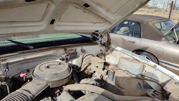 1988-1998 Chevy Silverado 1500 Pair Of Hood Hinges Right Left Set Assembly White — photo 4