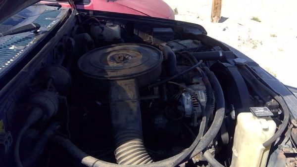 1993 Dodge Dakota Cylinder Head 5.2L — photo 12