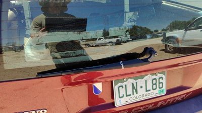 2001-2003 Volvo V70 Xc Back Glass Wiper Arm Oem Rear Window Blade Liftgate Hatch