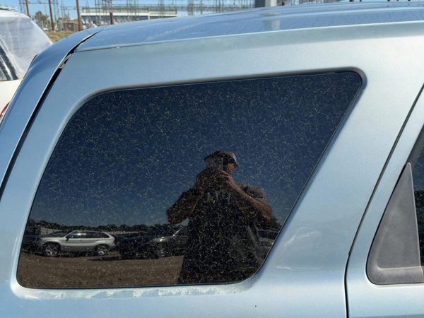 08-11 Mariner Passenger Right Rear Quarter Glass Back Side Window Oem Suv — photo 2