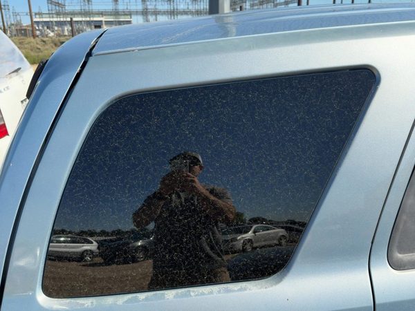 08-11 Mariner Passenger Right Rear Quarter Glass Back Side Window Oem Suv — photo 3