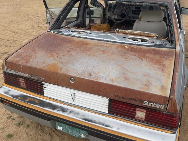 1984 Pontiac Sunbird Trunk/decklid/hatch/tailgate — photo 1